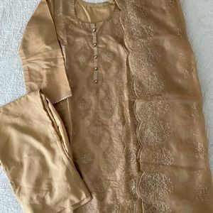 Gorgeous Pakistani 3 piece Dress